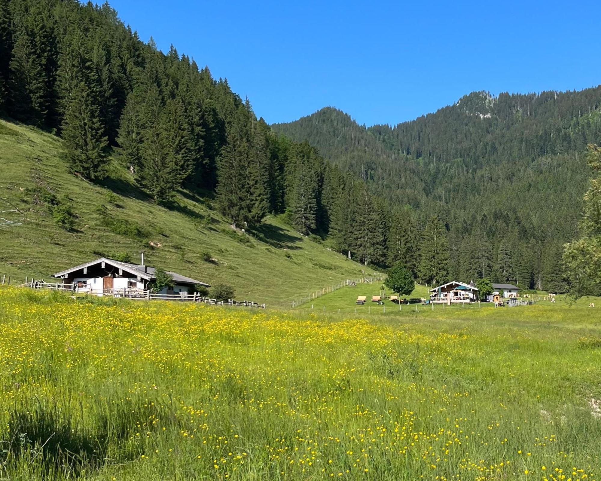 Ferienwohnung Gartenglueck Траунштайн Екстер'єр фото